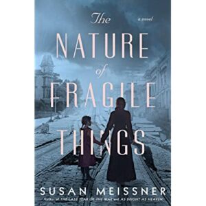 the nature of fragile things paperback